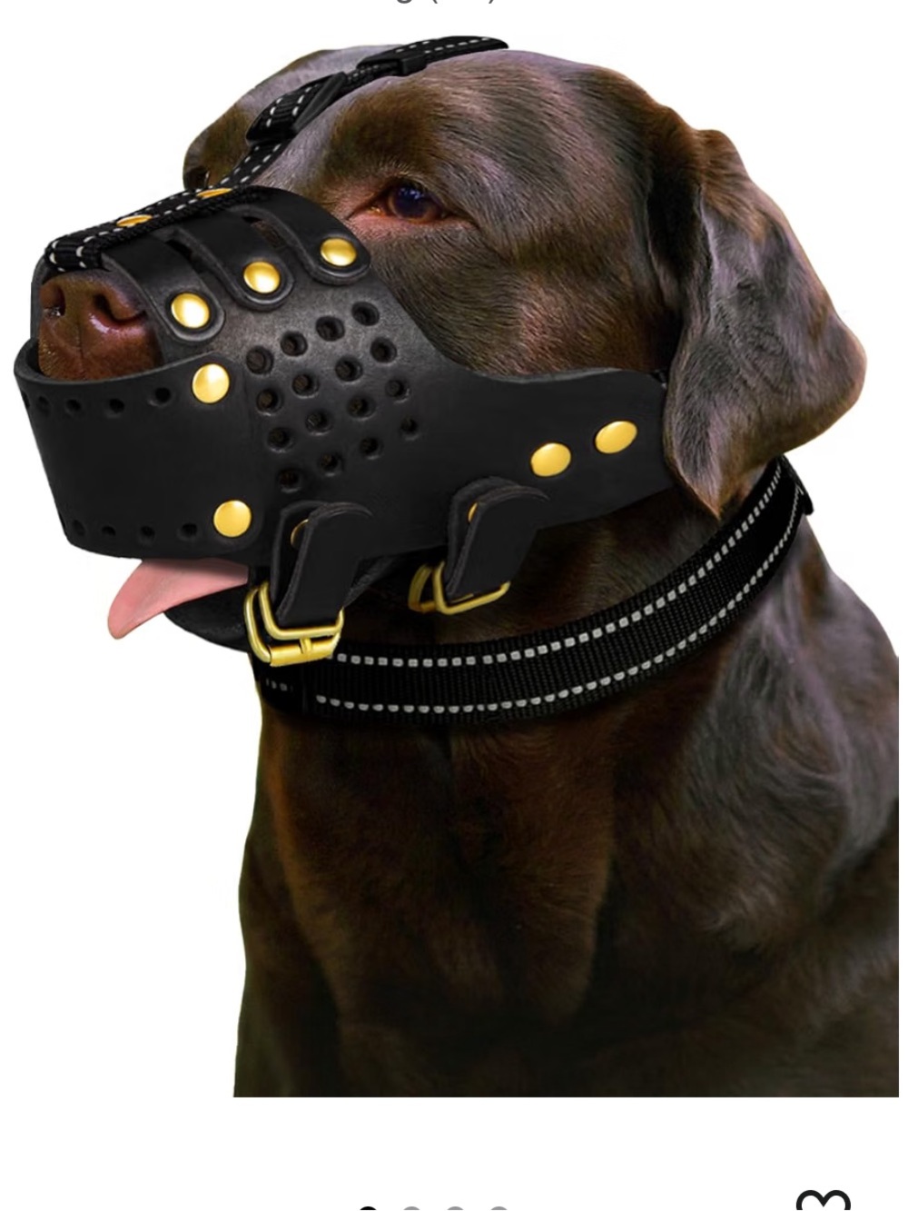 Black Leather Basket Dog Muzzle with Gold Rivets and Buckles